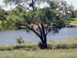 Lot 7W Primera Court Buchanan Dam, TX 78609 - Image 762511