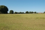 LOT 145 BROADLAND PASS Tampa, FL 33601 - Image 770987