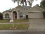 15007 Greeley Dr Tampa, FL 33625 - Image 770979