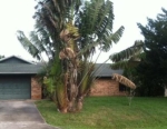 6190 60th Ct Vero Beach, FL 32967 - Image 771087