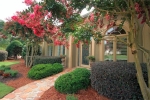 3376 Blackbridle Walk Se Marietta, GA 30067 - Image 775455