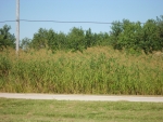 HWY 23 BACK TOWARDS HWY 11 Empire, LA 70050 - Image 785132