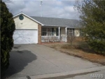 206 Strawberry Hill Estate Dr O Fallon, MO 63366 - Image 799083