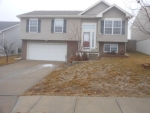 15374 Mormon St Bennington, NE 68007 - Image 804431