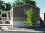 12332 Badger Lane Albuquerque, NM 87123 - Image 807329