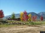 945 Dressler Ln Gardnerville, NV 89460 - Image 808278