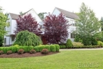 28 Harrows Ln Purchase, NY 10577 - Image 809572