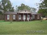 1556 Goose Rd Robersonville, NC 27871 - Image 828173