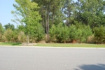 LOT 29 LIVE OAKS Bluffton, SC 29910 - Image 835264