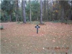 25 E SUMERTON CT, LOT 768 Bluffton, SC 29910 - Image 835268