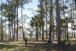 , Belfair (Apn# R600-023-00 Bluffton, SC 29910 - Image 835258