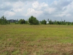 LOT 22 CAT TAIL BAY Conway, SC 29527 - Image 835621