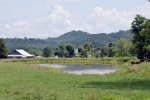 400 acres Taylor Rd Rutledge, TN 37861 - Image 838037