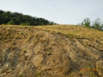 LOT 61 MTN ASH WAY Sevierville, TN 37876 - Image 840914