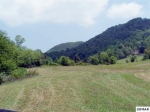 812 REAGAN SPRINGS RD Seymour, TN 37865 - Image 841008