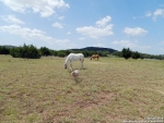 1025 HILLS OF BANDERA RD Bandera, TX 78003 - Image 841737