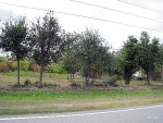 0 Jackrabbit Road Houston, TX 77095 - Image 844183