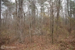 PLANTATION DRIVE Spotsylvania, VA 22551 - Image 851126