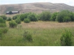 10179 Us Hwy191 Pinedale, WY 82941 - Image 861284