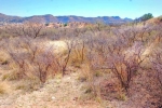 2 Casa Blanca Ranch Road Patagonia, AZ 85624 - Image 863271