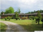 19032 County Road 460 Moulton, AL 35650 - Image 863494