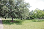 30 WILDERNESS TRAIL Friendswood, TX 77546 - Image 867250