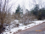 lot 7 & 8 Philadelphia Avenue Birdsboro, PA 19508 - Image 868119