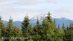 1005 East End Road Homer, AK 99603 - Image 873487