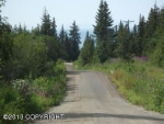 41039 LARAMIE Circle Homer, AK 99603 - Image 873488