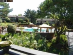 313 Masters Ct Apt 3 Walnut Creek, CA 94598 - Image 873546