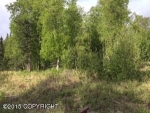 11619 Soapstone Road Palmer, AK 99645 - Image 875469