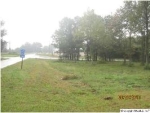 5811 Hwy 55 Eva, AL 35621 - Image 875527