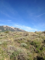 45 Janet Place Lot 9, Blk 22, F3, CB South Crested Butte, CO 81224 - Image 877642