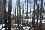 43 Gloria Place Lot 26, Blk 26, F4, Crested Butte Crested Butte, CO 81224 - Image 877644