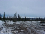 L9 B16 Snowshoe Road Homer, AK 99603 - Image 881627