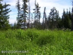 50855 Mtn Glacier Court Homer, AK 99603 - Image 881623