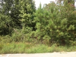 7416 Henry Ln Hensley, AR 72065 - Image 882749