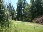 lot 22 county rd 658 Hanceville, AL 35077 - Image 883250