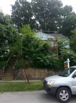 105 Terrace Ave Apollo, PA 15613 - Image 883464