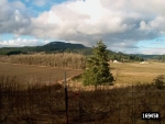 45695 SW HEBO RD Grand Ronde, OR 97347 - Image 884650