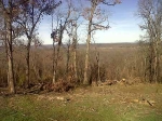 Miles On Hwy 170 West Fork, AR 72774 - Image 886585