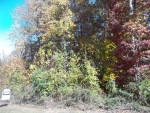 110 ELLENS RIDGE ROAD LOT 65 Fairburn, GA 30213 - Image 892258