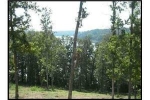 LOT 14 ROSE Ln Eddyville, KY 42038 - Image 897568