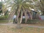 3320 7th Ave N Saint Petersburg, FL 33713 - Image 901993