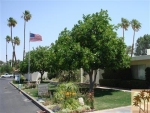 79306 Montego Bay Dr #15 Indio, CA 92203 - Image 902236