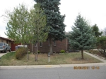 1603 S Ivy Way Denver, CO 80224 - Image 905858