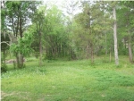 18546 Highway 31 Letohatchee, AL 36047 - Image 909301