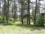 1687 Wild Timber Court Franktown, CO 80116 - Image 909788