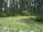 1725 Wild Timber Court Franktown, CO 80116 - Image 909787