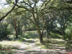 #5 Old Creek Road Templeton, CA 93465 - Image 910794